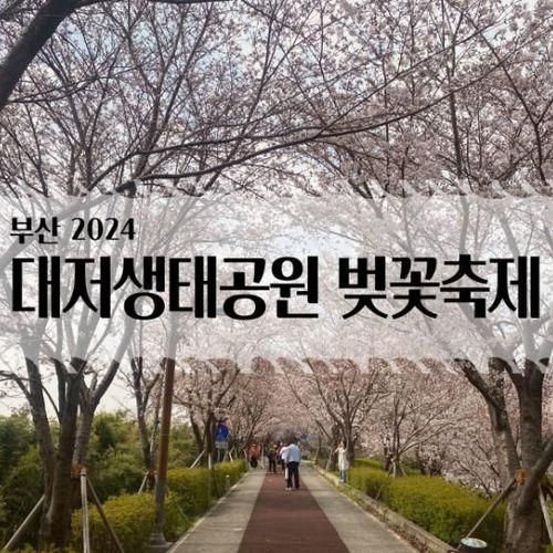 [부산 가볼만한 곳] 강서 낙동강30리 대저생태공원 벚꽃축제...