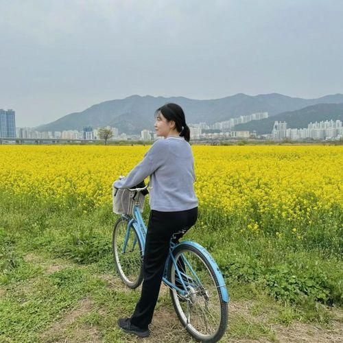 부산 강서구 대저생태공원 유채꽃 벚꽃 꽃놀이 자전거 대여 방법