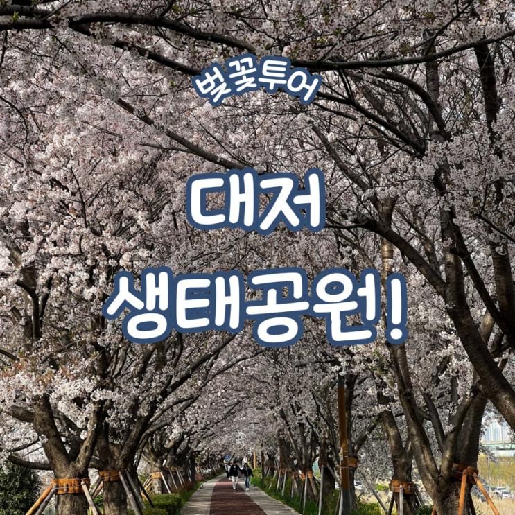 24-23 부산 대저생태공원 벚꽃투어!
