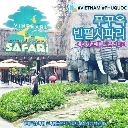 베트남 푸꾸옥 비 오는 날 빈원더스 사파리 즐기기