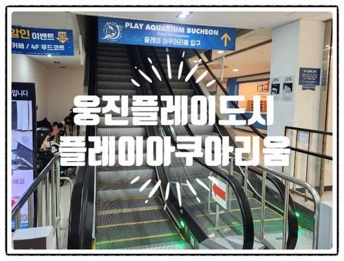 플레이아쿠아리움, 부천가볼만한곳