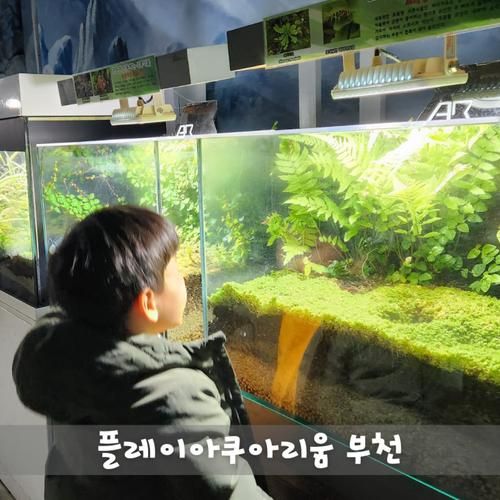 플레이아쿠아리움 부천 미취학 아이와 가볼만한 곳