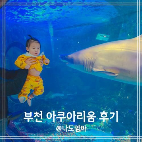 부천 웅진플레이도시 아쿠아리움 실내 동물원 아이와 가볼만한곳