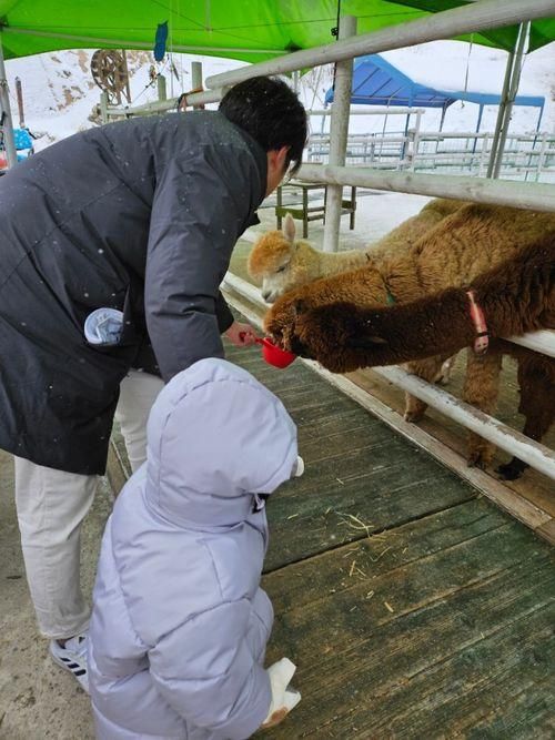 겨울여행지 추천 28개월 두돌아기랑 평창 애니포레 후기...