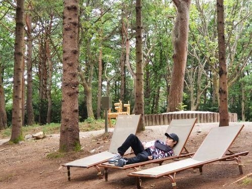 용평리조트 애니포레 후기 - 가문비 나무숲에서 제대로 힐링타임