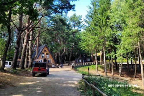 평창 용평리조트 비밀의숲 애니포레 모노레일 타고 Go~