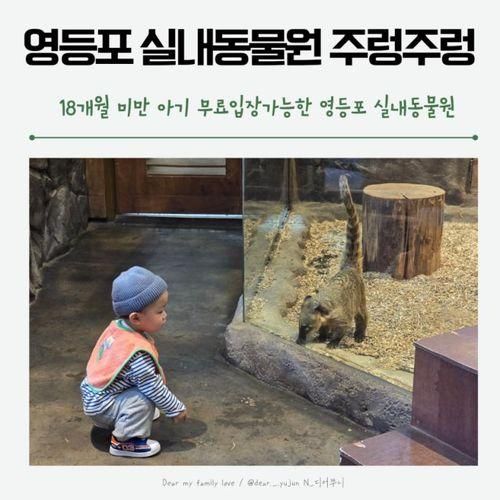 실내동물원 영등포 타임스퀘어점 '주렁주렁' 재입장x 유모차...