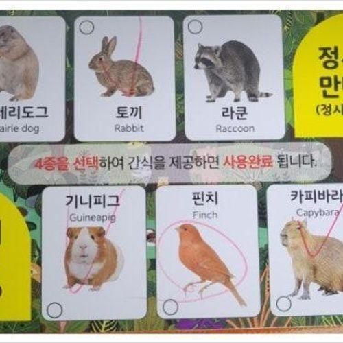 금방가버리는 동탄 아이와 가볼 만한 곳 주렁주렁 라크몽점