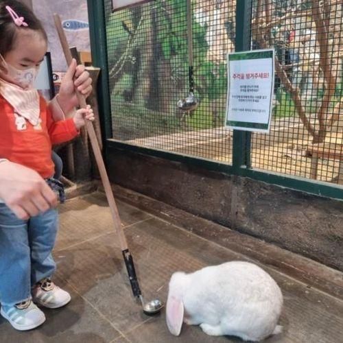 주렁주렁 동탄 라크몽점 동물체험 카누 배타기 아기와...