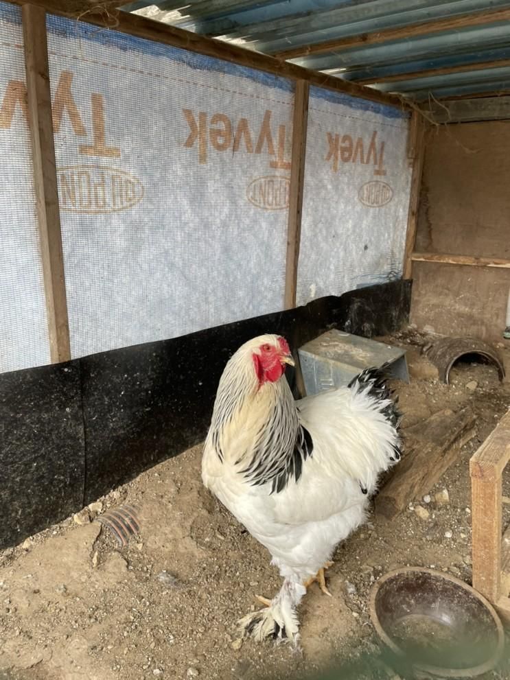 [굼프로 곤충체험학습농장] 공휴일 양평 체험 / 양평 가볼만한...