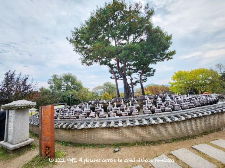 양평여행 세미원 추억의청춘뮤지엄 중미산천문대 간단 후기