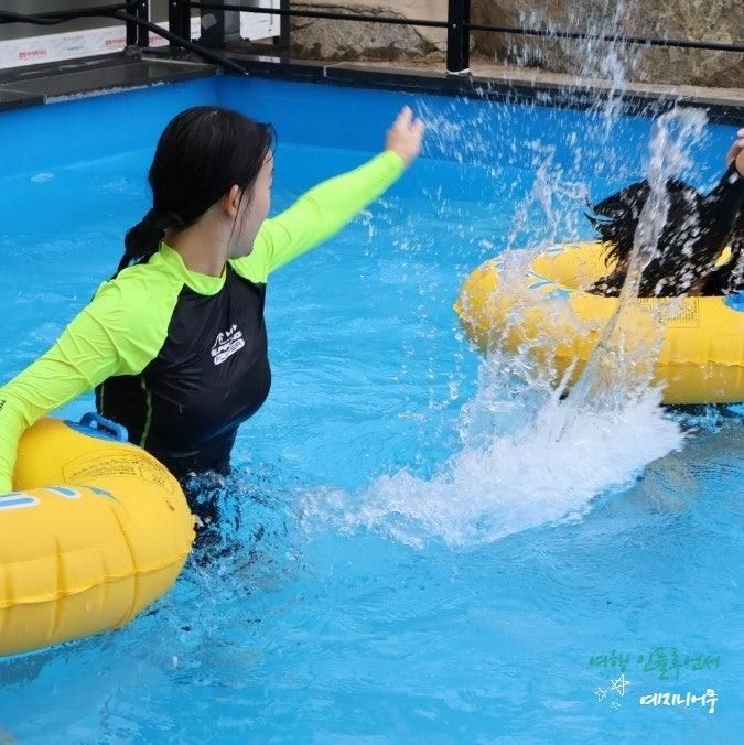 영덕 헤아림펜션 오션뷰/해돋이/수영장이 있는 가족펜션