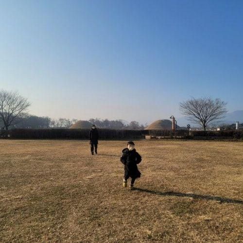 [경주] 동부사적지구 산책(첨성대, 계림, 교촌마을, 최부자댁)