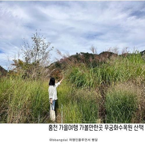 홍천 무궁화수목원 국내 가을여행 추천