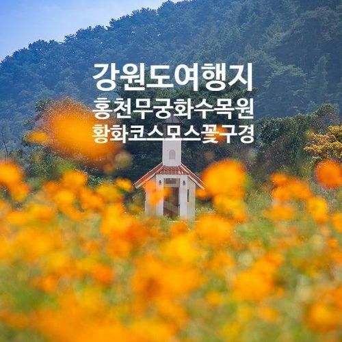 강원도 여행지 홍천 아이와 가볼만한곳 무궁화 수목원...