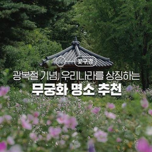 홍천 무궁화수목원, 홍천 무궁화테마파크, 완주 고산공원...