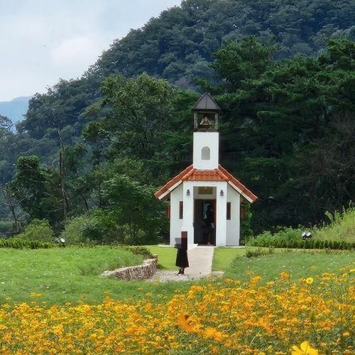 홍천 당일치기 여행 무궁화 수목원 인삼막걸리 클래스