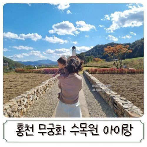 홍천 아이와 가볼만한곳 추천, 무궁화수목원 산책하기