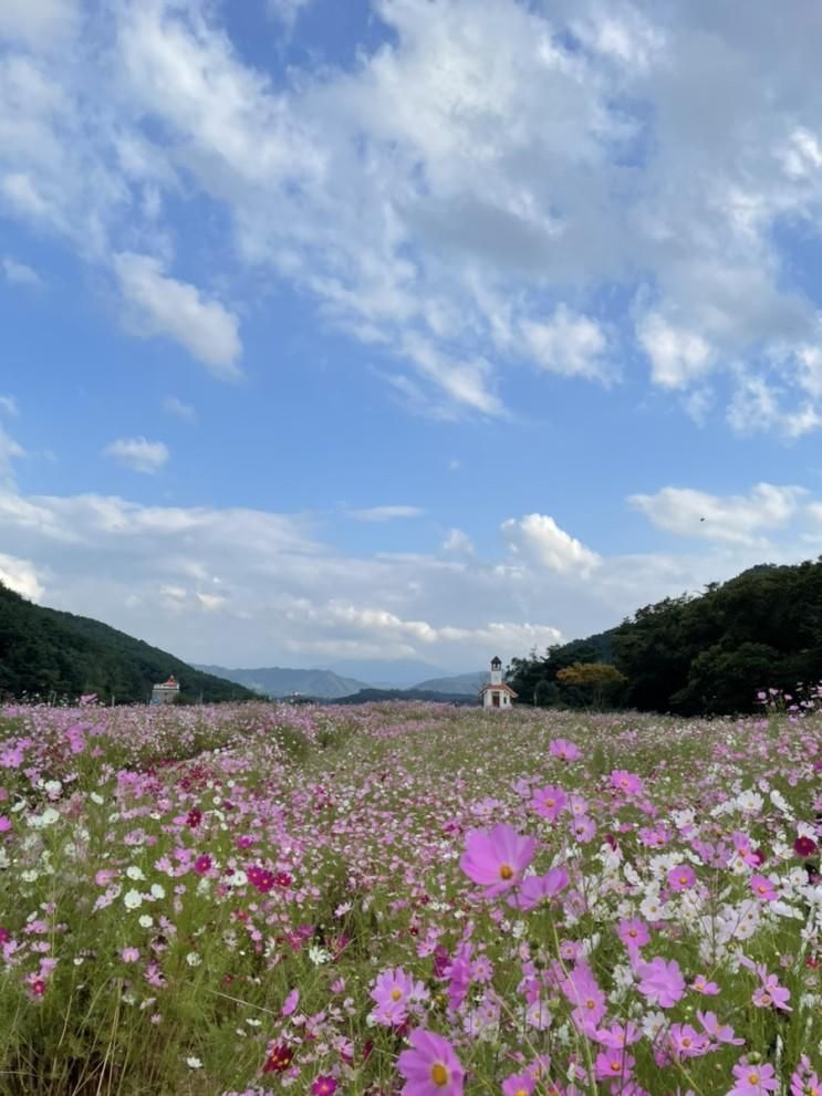 홍천.무궁화 수목원