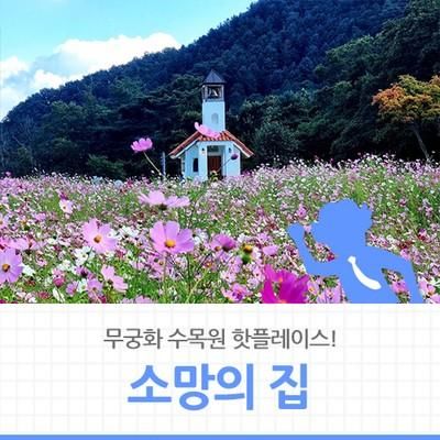 [홍천 가볼만한곳] 무궁화 수목원의 핫플레이스!! 무궁화의 집...