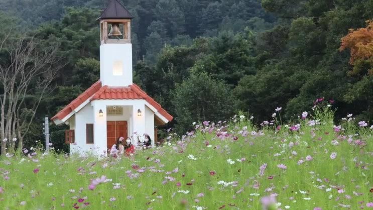 홍천 가볼만하곳 무궁화수목원에서 힐링과 산책