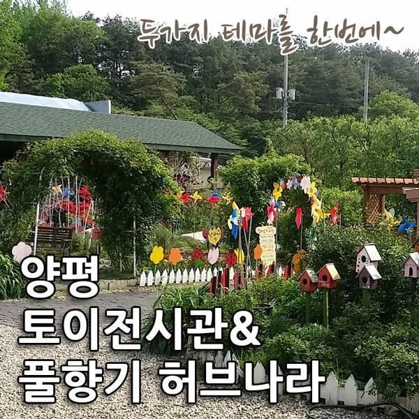 양평 가볼만한 곳 - 풀향기 허브나라 & 토이박물관(피규어)