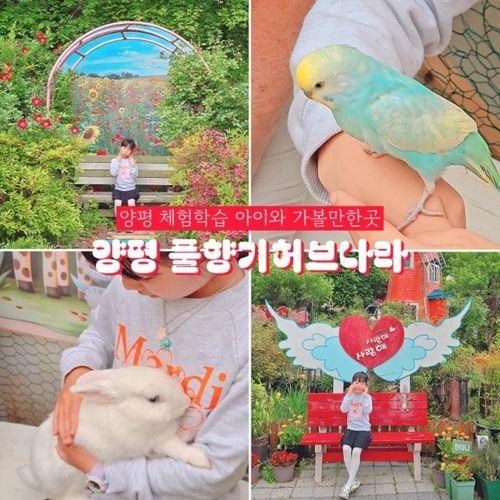 양평 풀향기허브나라 서울근교 체험학습 아이와 가볼만한곳