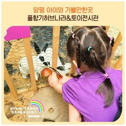 양평가볼만한곳 아기 체험학습 동물 먹이주기 풀향기허브나라...