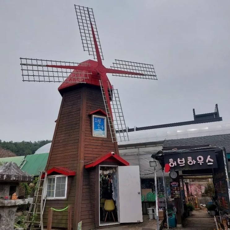 양평 용문산근처 아이와 가볼만한곳 풀향기허브나라...