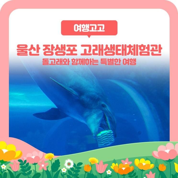 울산 장생포 고래생태체험관 돌고래와 함께하는 특별한 여행