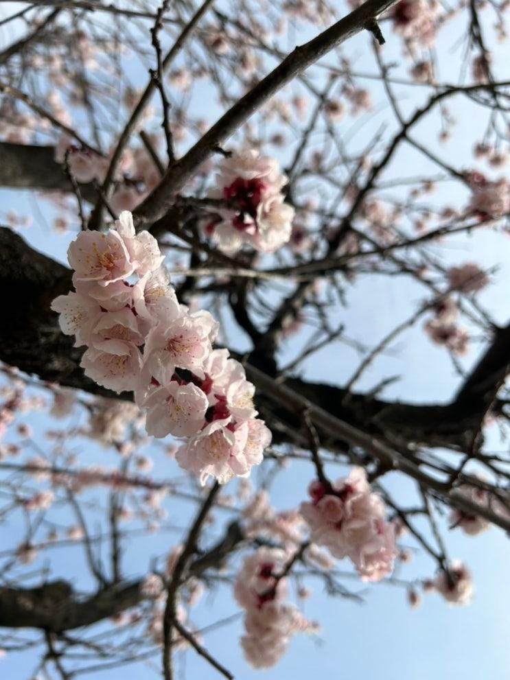 울산나들이-장생포고래생태체험관