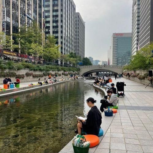 청계천 야외도서관 <책읽는 맑은냇가>에 다녀왔어요! (10....