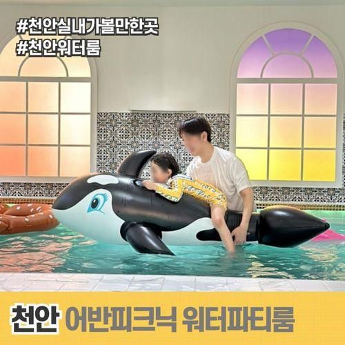 천안 실내가볼만한곳 어반피크닉 워터파티룸 천안불당점...