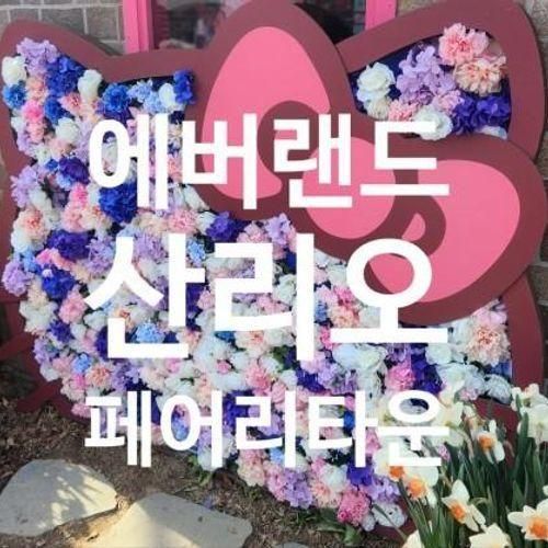 산리오 페어리타운 튤립축제 아이랑 에버랜드 가야되는 이유