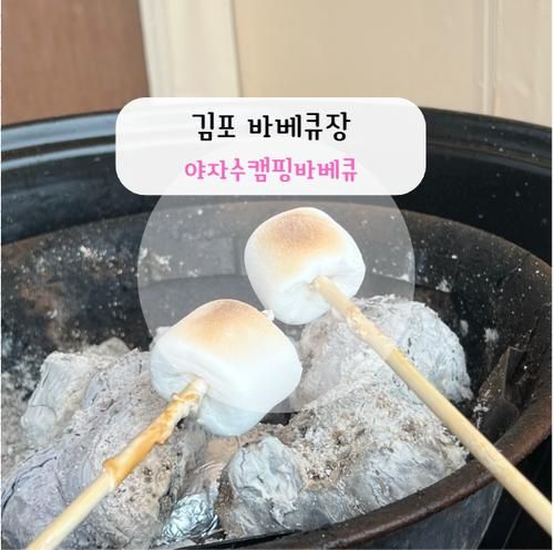 김포 바베큐장 새로생긴 야자수캠핑바베큐 내돈내산 인증