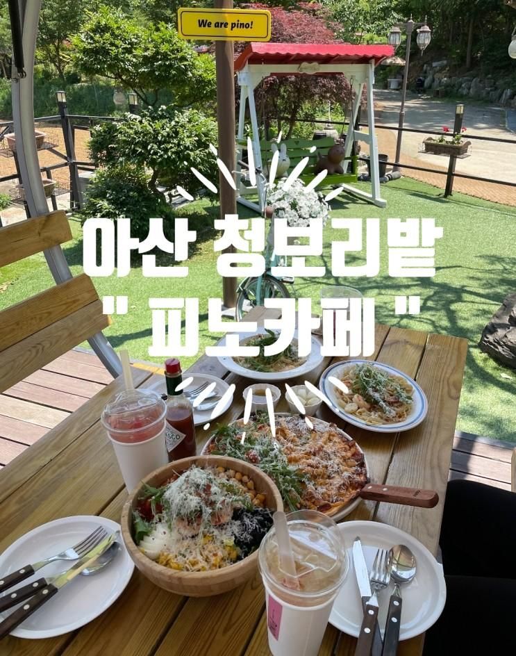 아산 청보리밭  애견동반 카페 " 피노카페 "