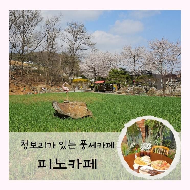 천안 브런치 카페 풍세 "피노카페" 애견 동반 / Yes 키즈