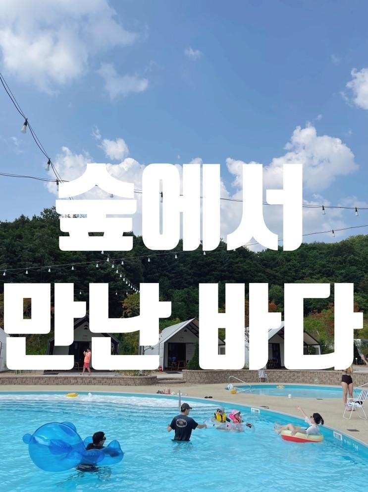 아이와 여행_멋진 수영장 갖춘 신상 포천 글램핑 숲에서 만난 바다