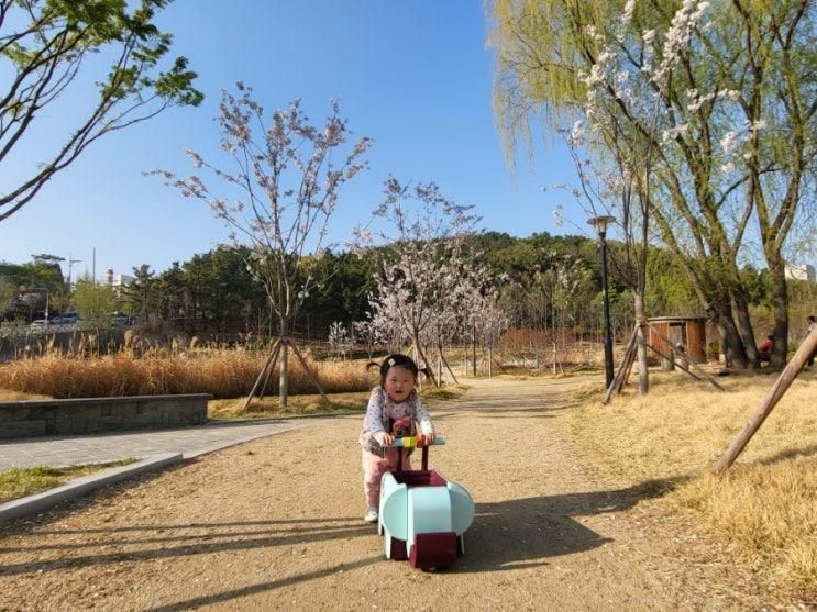 대구대표도시숲, 코오롱야외음악당