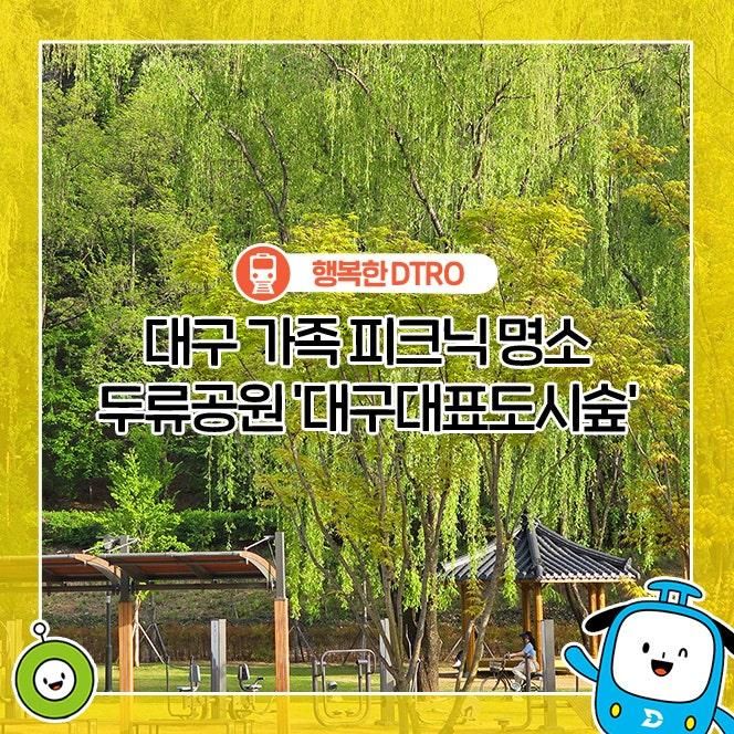 대구 가족 피크닉 명소 두류공원 '대구대표도시숲'