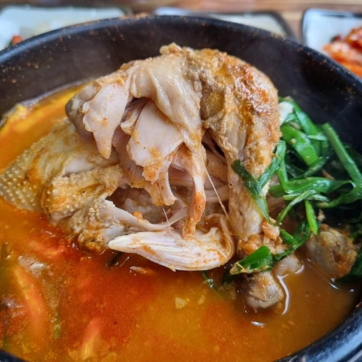 [대구] 성당동 맛집 강변어탕국수삼계, 대구대표도시숲