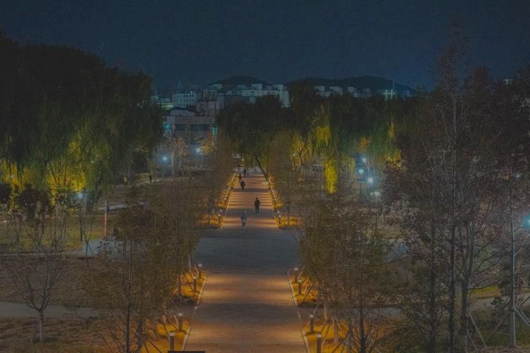 아이와 가볼만한곳, 두류공원 대구 도시숲 대구대표도시숲 야경