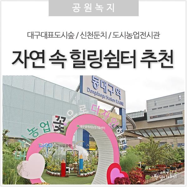 속 힐링명소' 추천 :: 대구대표도시숲 / 신천둔치 / 도시농업전시관