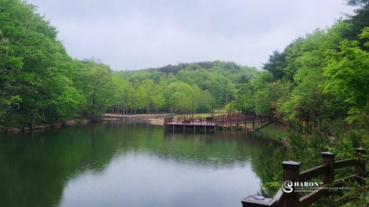 속초 설악산자생식물원 척산족욕공원 온천 족욕 여행