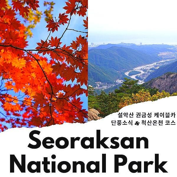 속초 설악산 국립공원 권금성... 설악산 단풍 & 척산족욕공원