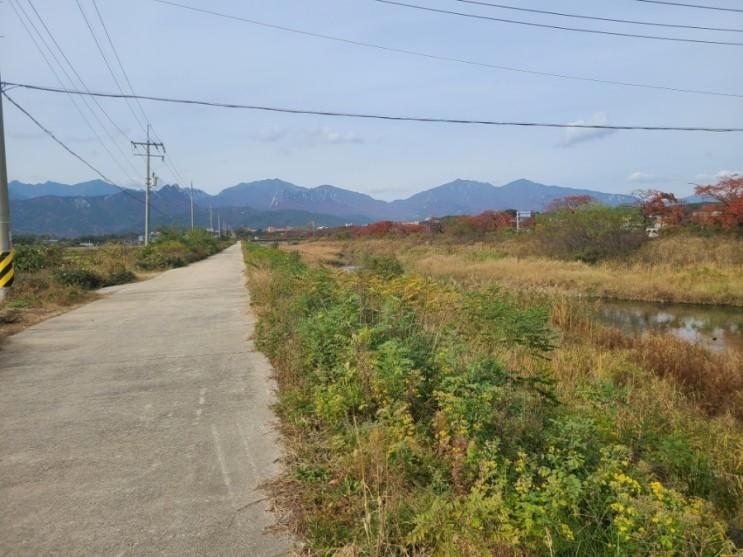 속초 척산족욕공원 무료 청초천 걸어서 한시간 코스입니다