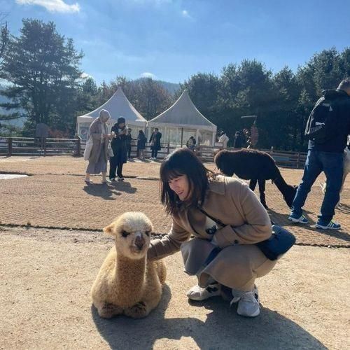 [강원/홍천] 서른살도 재밌게 놀고 온 알파카 월드