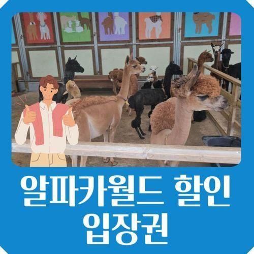 알파카월드 할인 입장권  근처 숙소 특가 찾는 방법