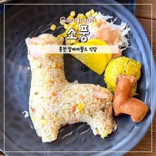 홍천 알파카월드 식당 소풍 위치 메뉴 가격