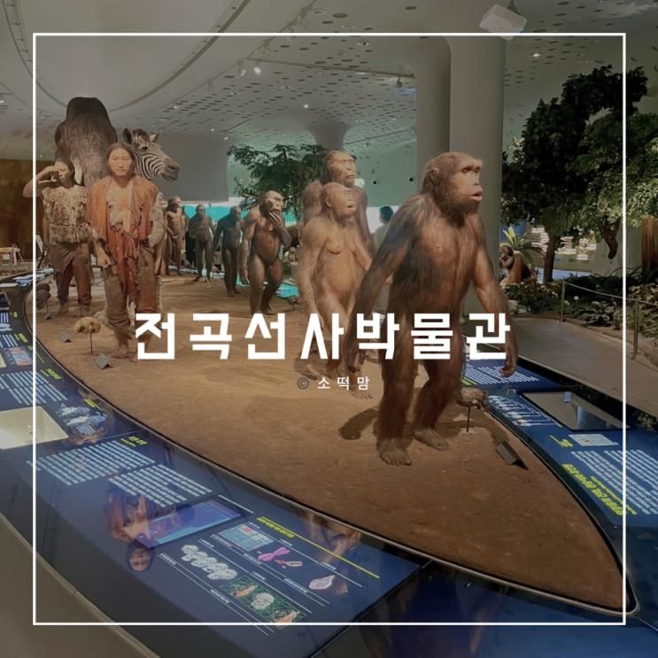 연천 아기랑 가볼 만한 곳으로 추천하는 전곡선사박물관 후기